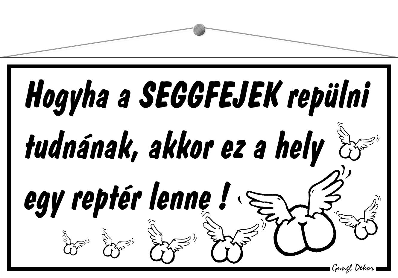 Hogyha a seggfejek repülni tudnának, akkor ez a hely egy reptér lenne! HUMOROS TÁBLA