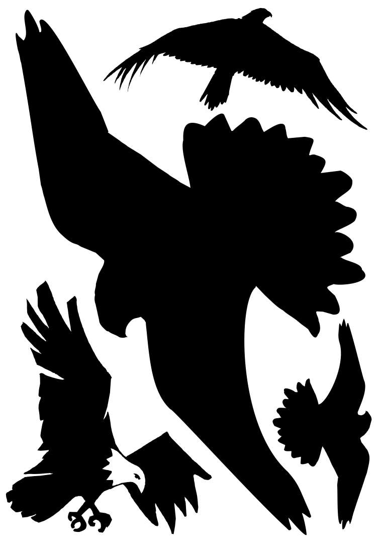 Madarak - Madárriasztó üveg MATRICA "C"